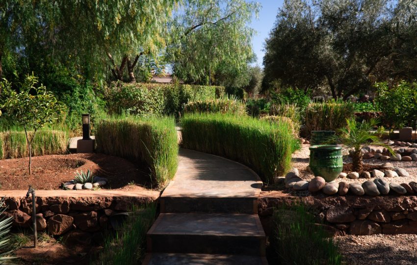 a pathway leading to a lush green garden