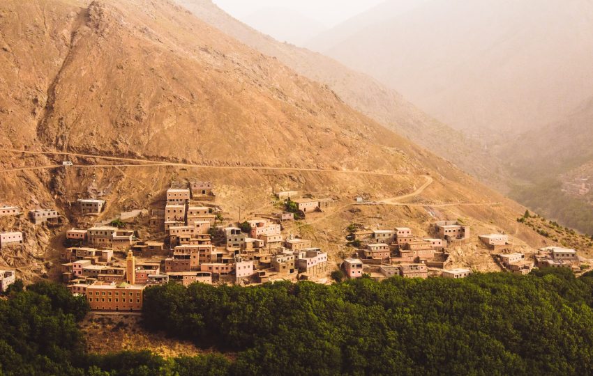 photo of brown houses surrounded by green trees